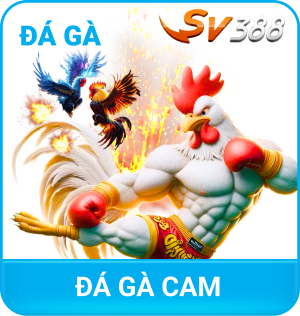 Đá Gà XX88